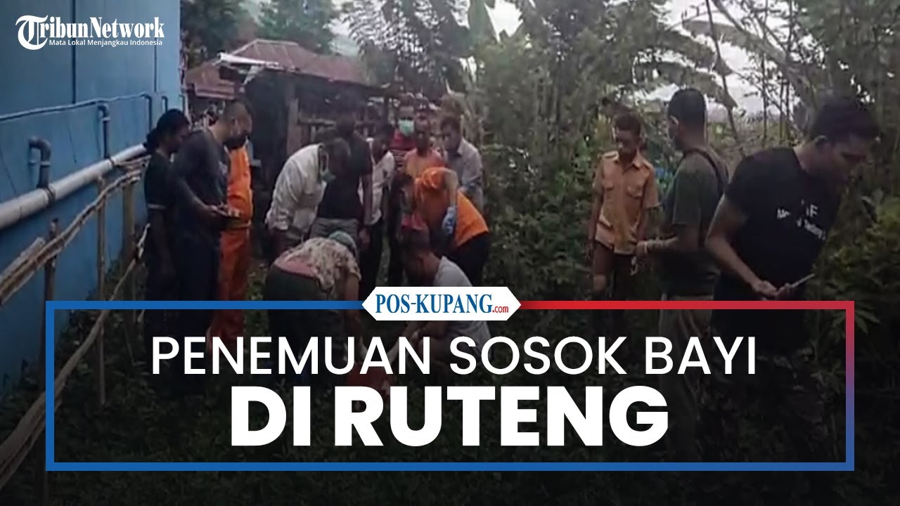 Penemuan Diduga Sosok Bayi di Kebun Warga di Langke Rembong Ruteng