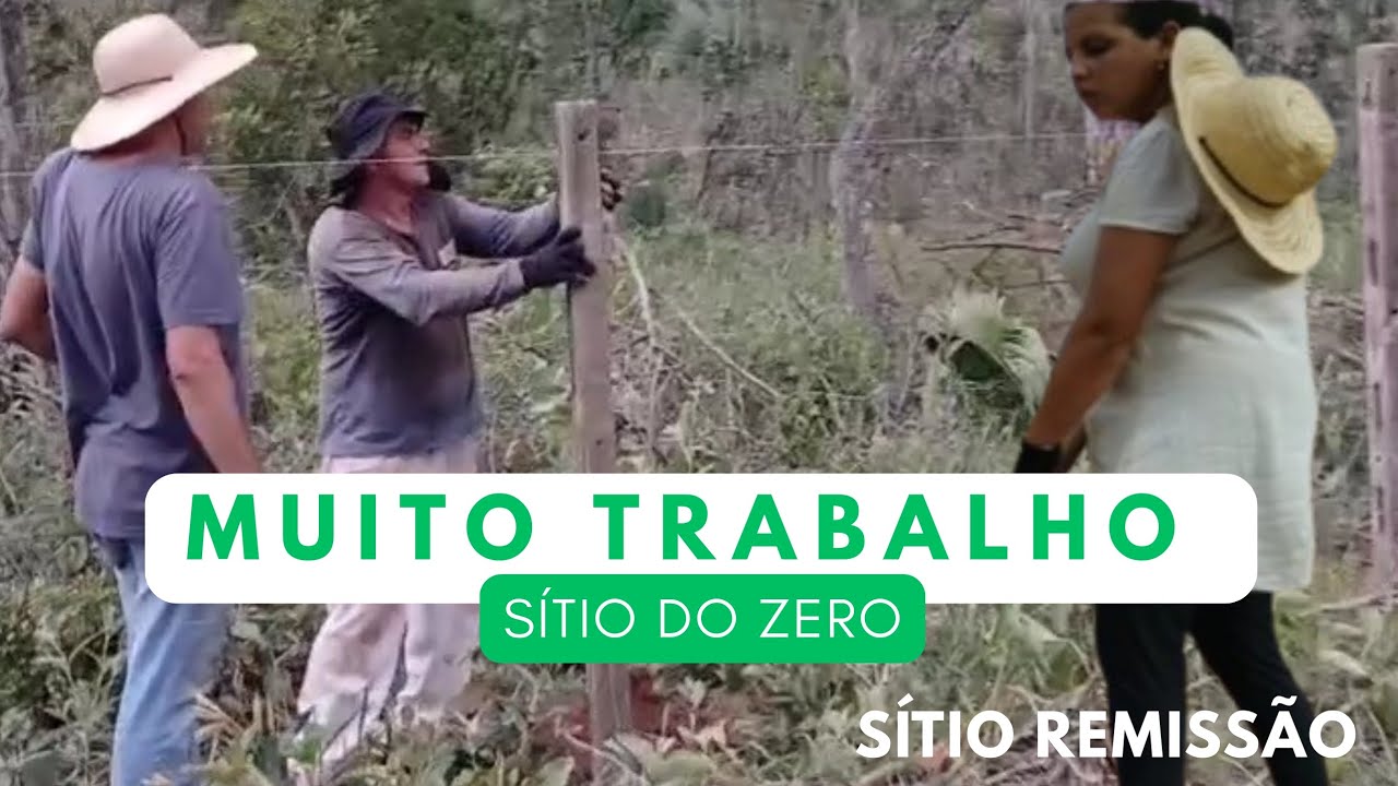 TRABALHO NA HORTA E CONTINUAÇÃO DA DIVISA