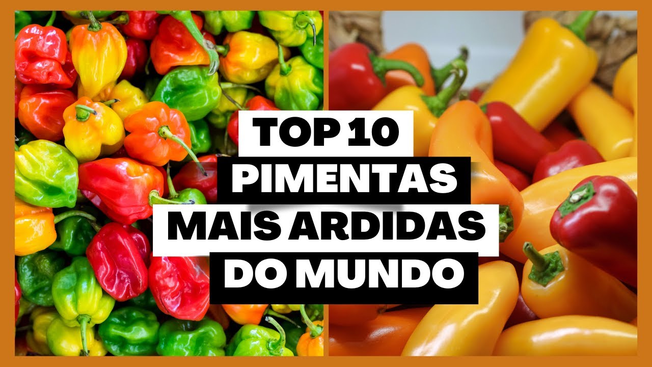TOP 10 Pimentas Mais Ardidas do Mundo