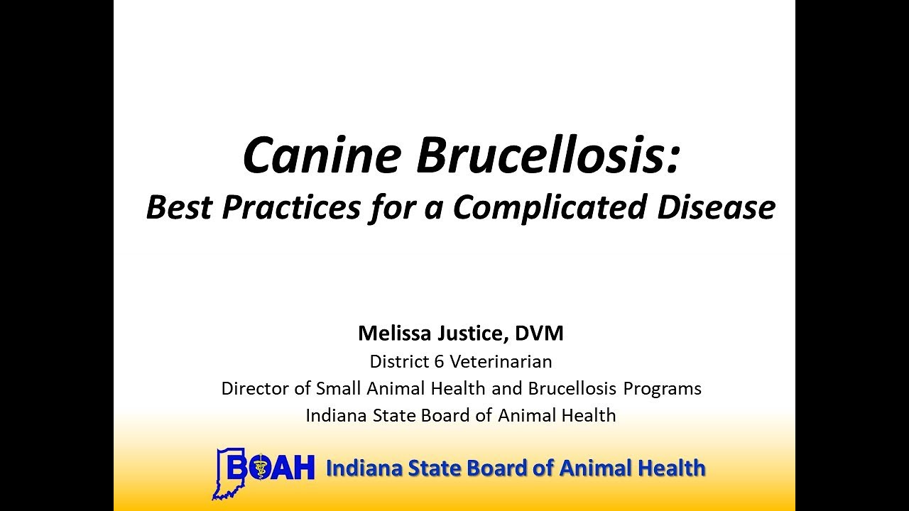 Canine Brucellosis: Best Practices for a Complicated Disease (Indiana BOAH)