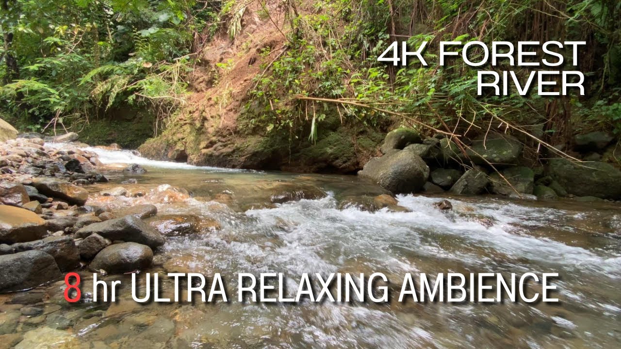 4K Forest River | Pure River Flowing Water | No Music, Natural Sleep Sounds