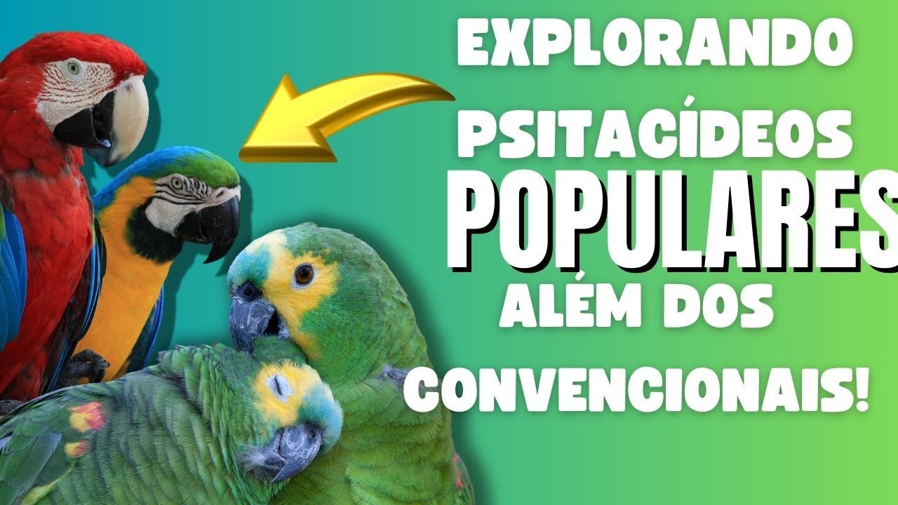 Explorando Psitacídeos Populares Vem Descobrir Mais Além dos Papagaios e Araras! 🌍🦜