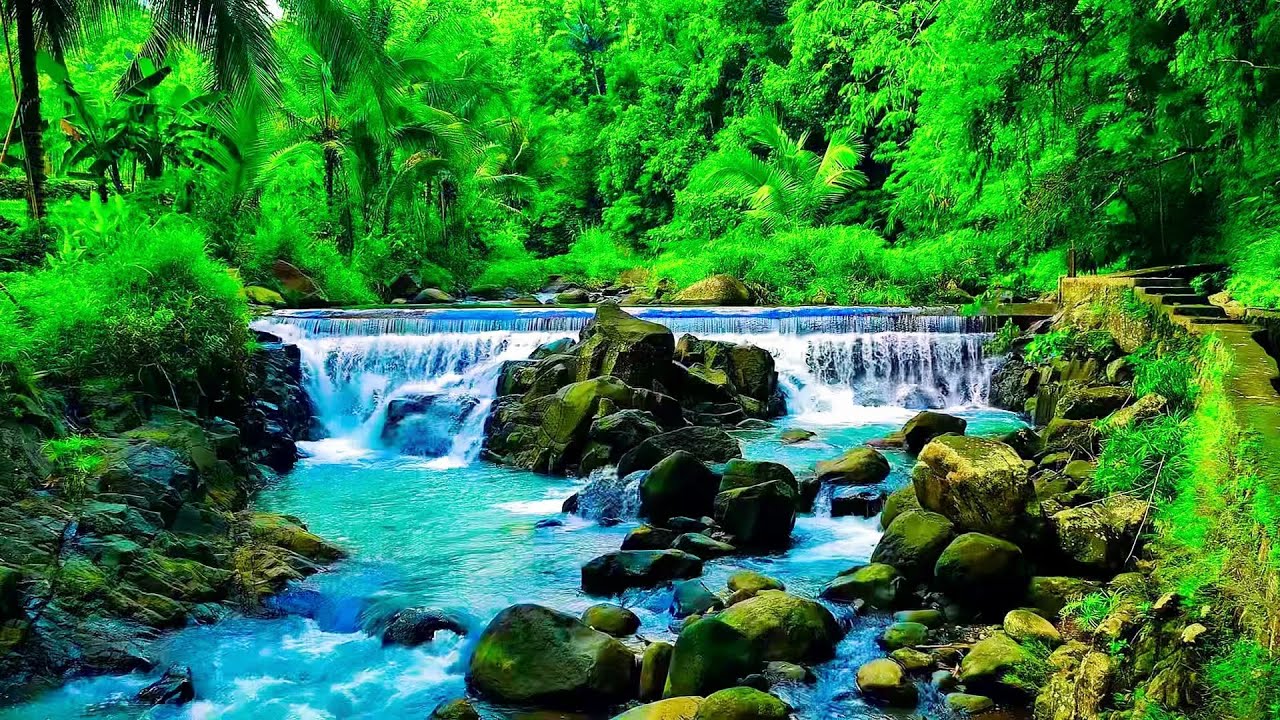 Calm Your Mind with Real Forest River and Waterfall Ambience