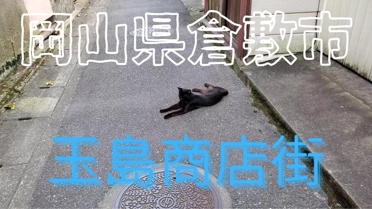 2020年夏岡山県倉敷市玉島商店街