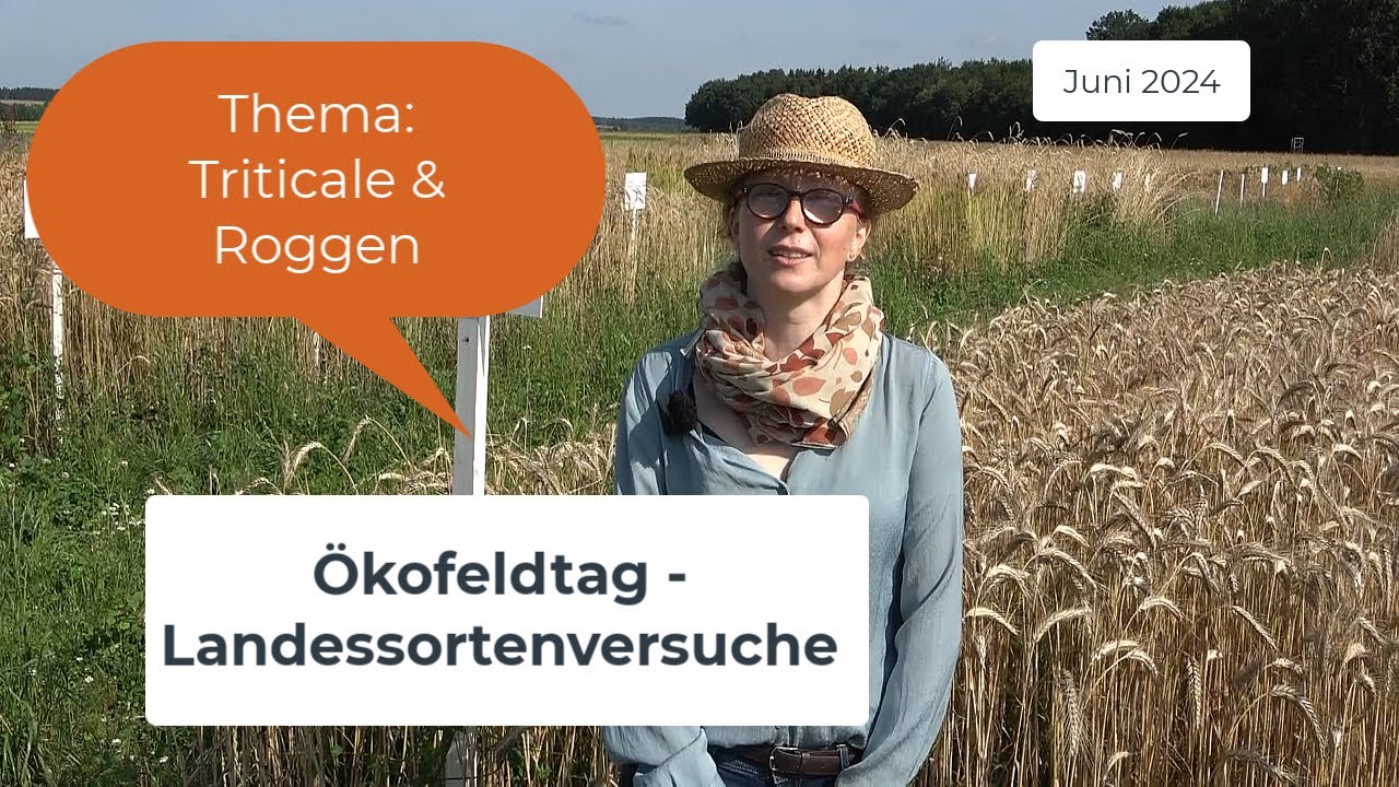 Pflanzenbau aktuell - Ökofeldtag 2024 - Triticale & Roggen