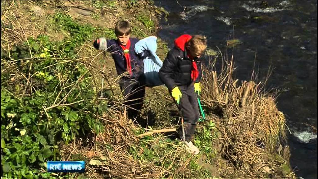 Cleaning up the River Dodder