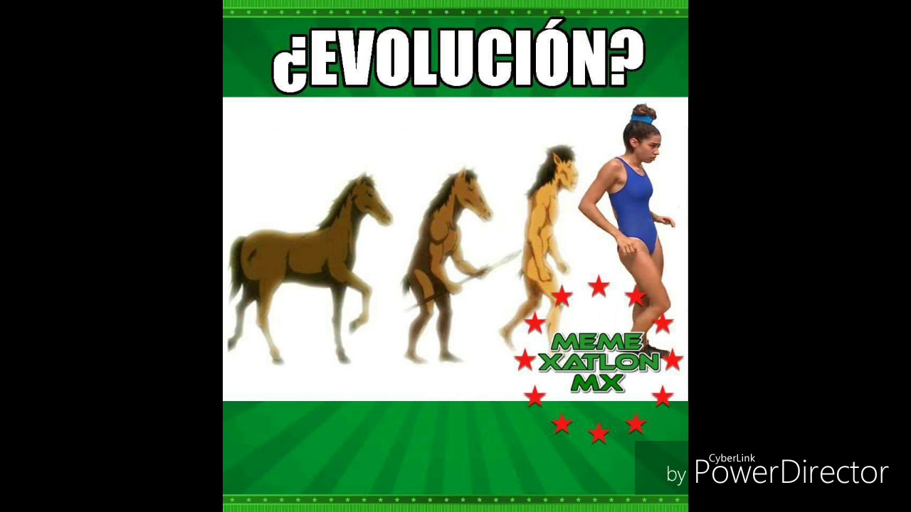 Los mejores memes de exatlon #12