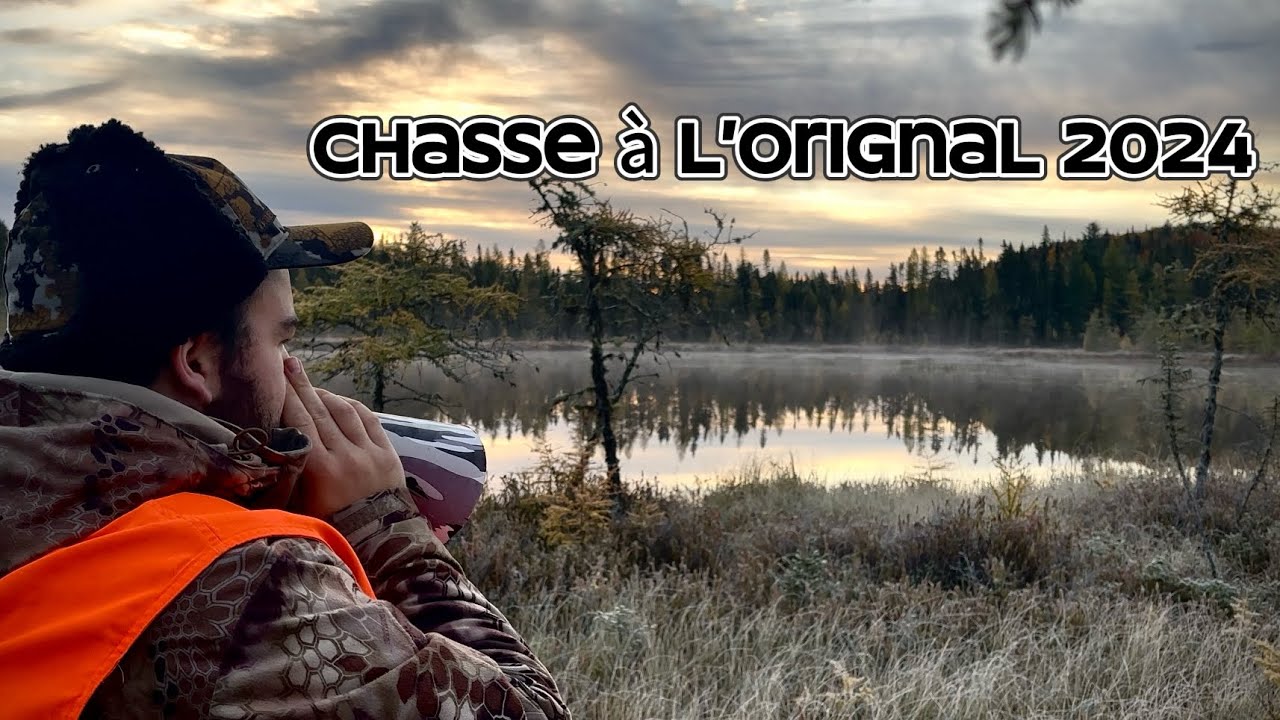 Chasse à L’Orignal 2024