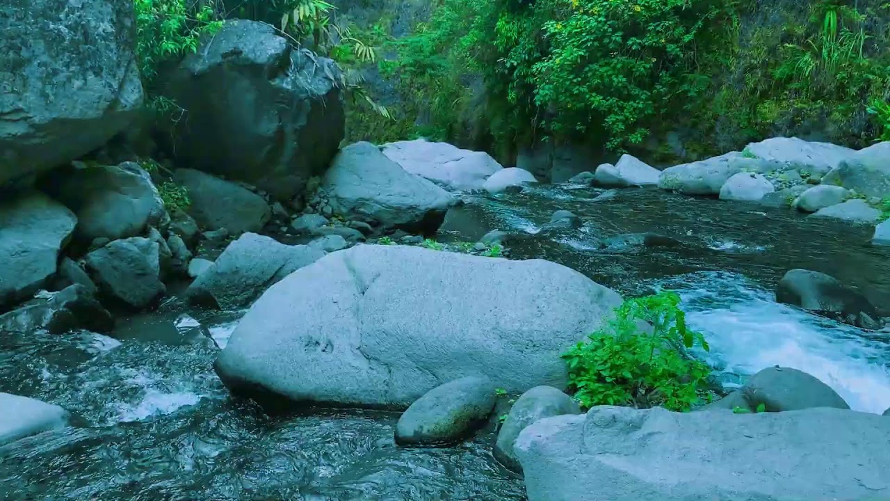 Deep Mountain Stream Flow Nature ASMR | For Anxiety Relief & Deep Sleep