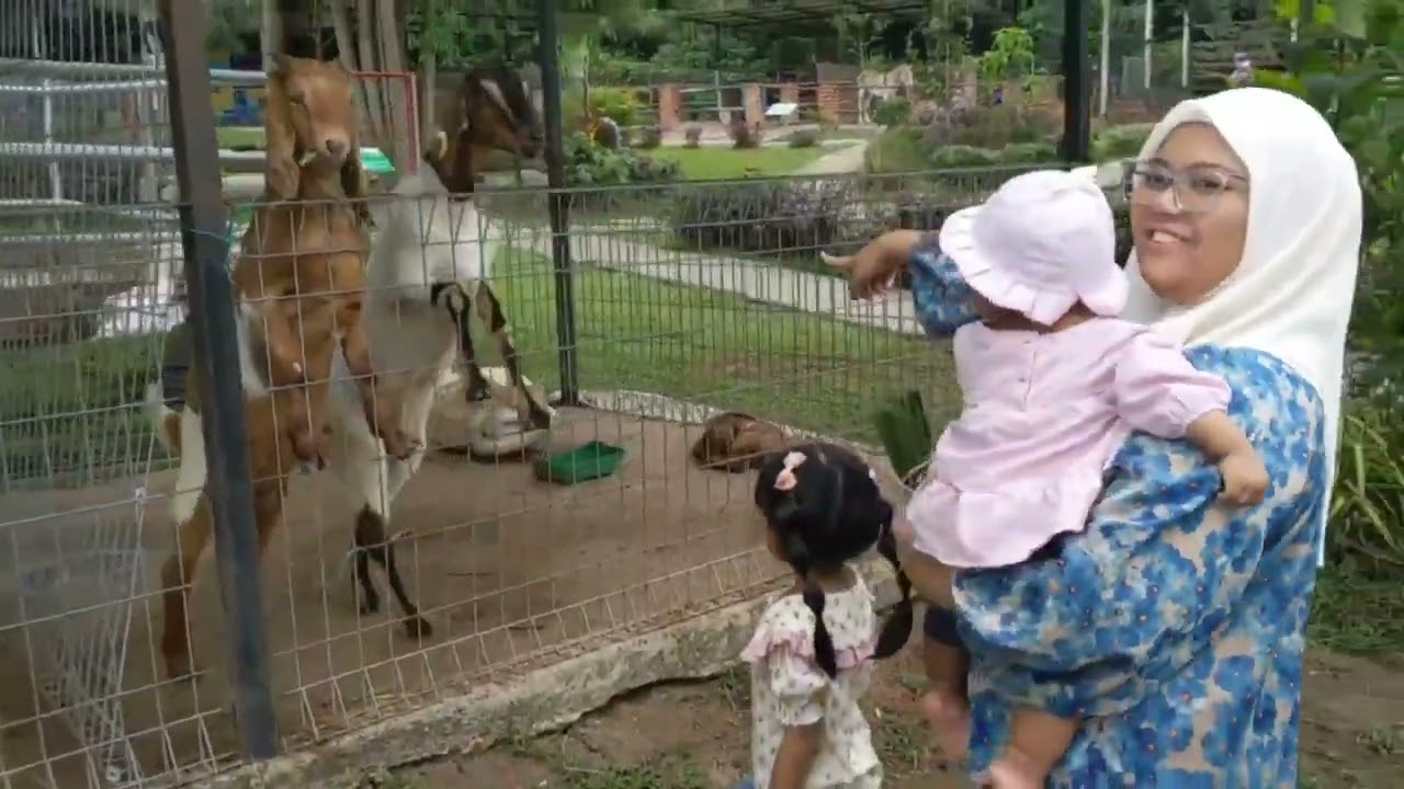 Jalan-jalan ke mini zoo Simpang Renggam