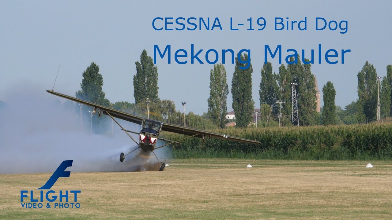 Cessna O-1 L-19 Bird Dog 