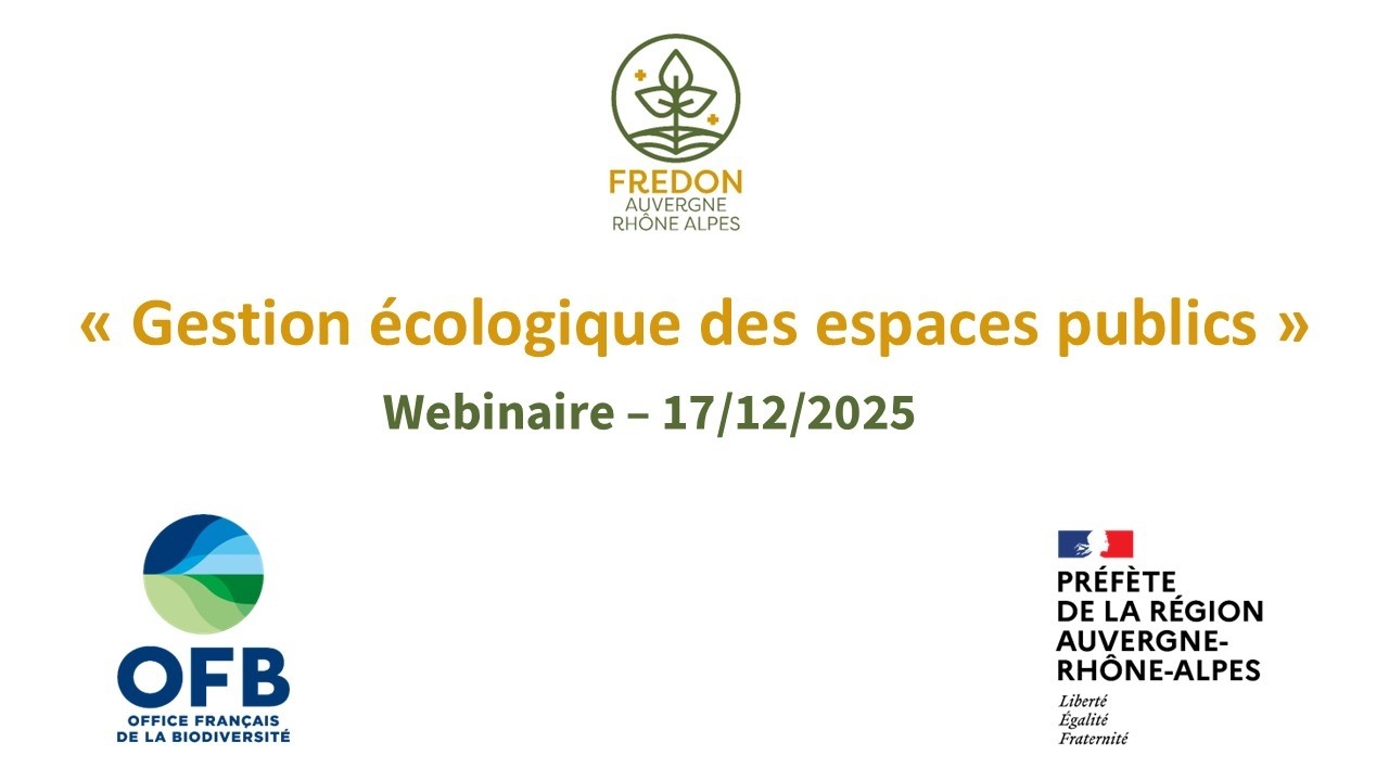 Replay du webinaire 