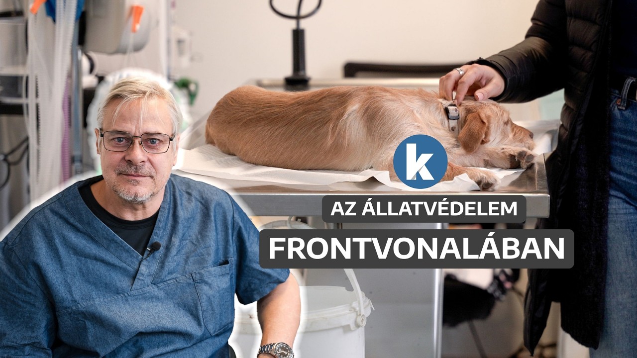 Csendes, de m&eacute;lyrehat&oacute; v&aacute;ltoz&aacute;s zajlott le Erd&eacute;lyben: &aacute;talakult az emberek viszonya a kis&aacute;llatokhoz