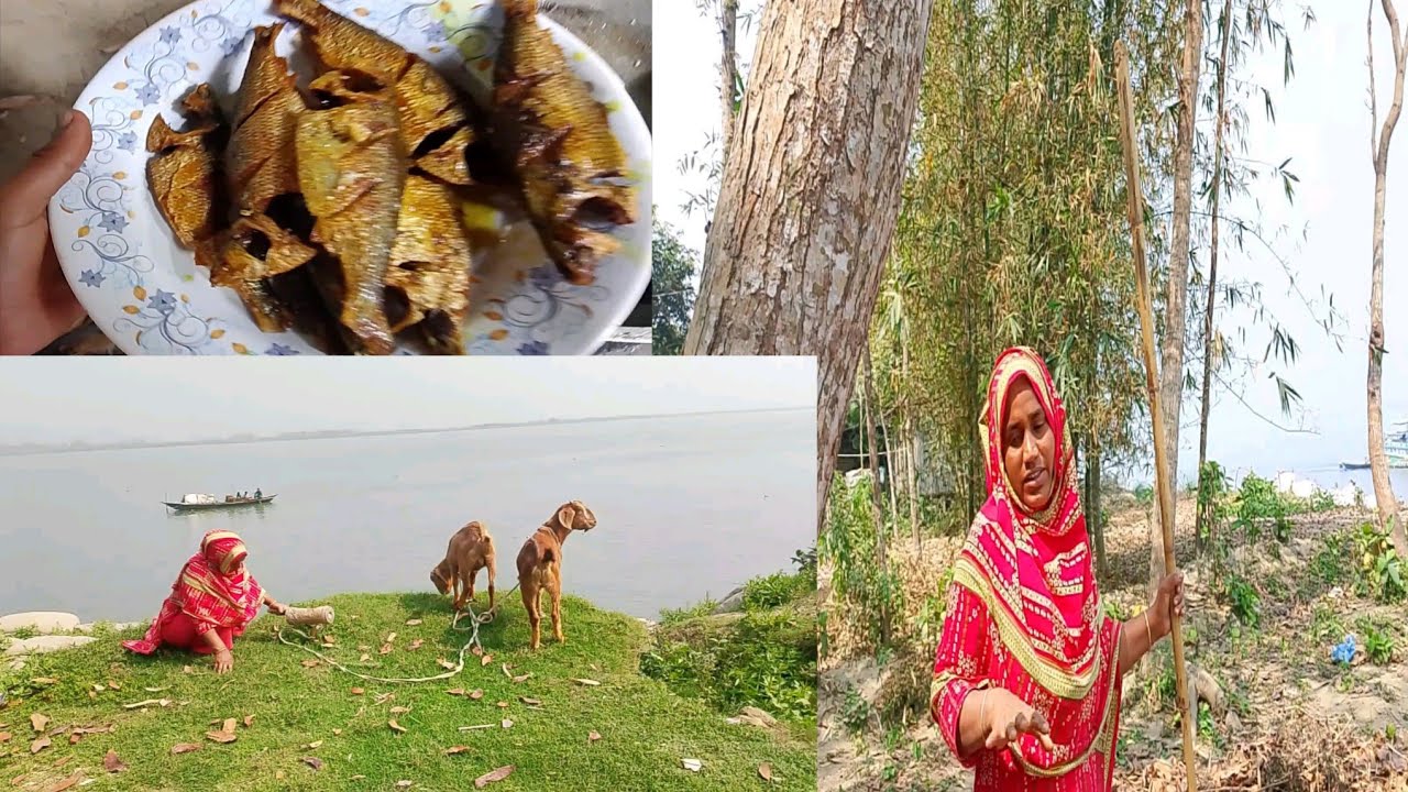 আফ্রিকার জঙ্গল