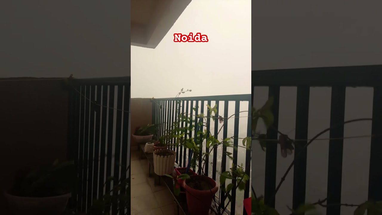 Heavy rain and gusty winds🌬️ #noida #heavyrain #ncr #shortsfeed