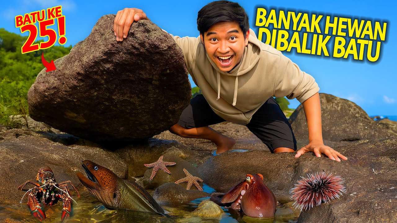 BALIK 25 BATU DI LAUT SURUT! NEMUIN BANYAK BANGET MAKHLUK LAUT ANEH DI PANGANDARAN! KITA BAWA PULANG