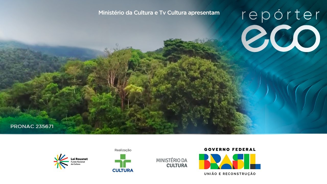 REPÓRTER ECO | Bioeconomia na Amazônia e os Impactos da Seca nas Abelhas 🌱🐝- 17/08/2025