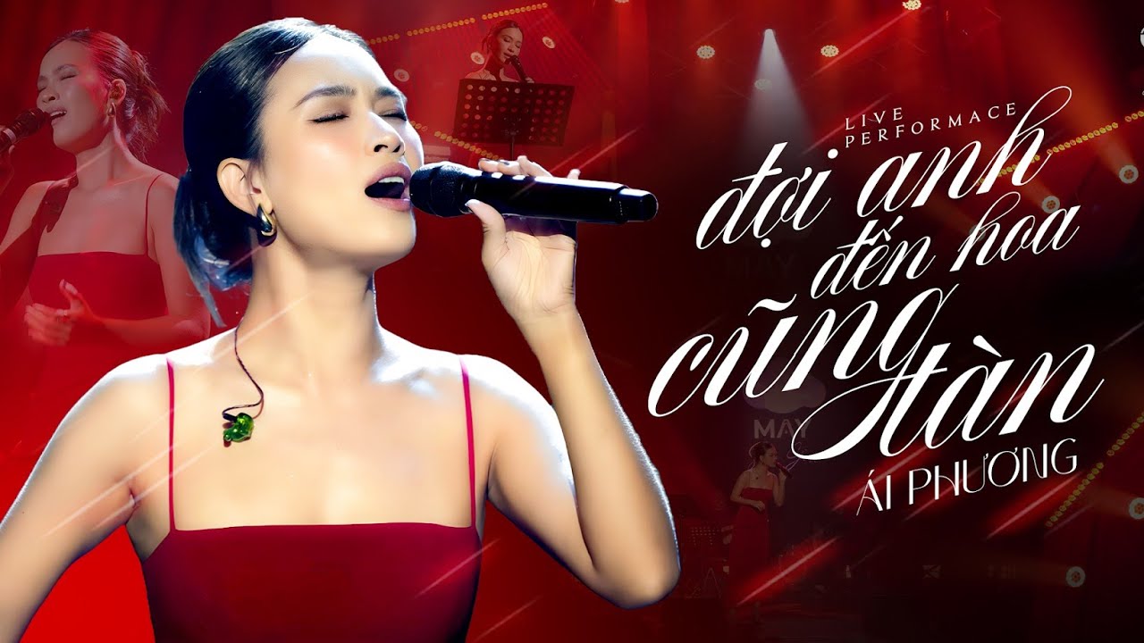 Đợi Anh Đến Hoa Cũng Tàn - Ái Phương | Official Music Video | Mây Sài Gòn