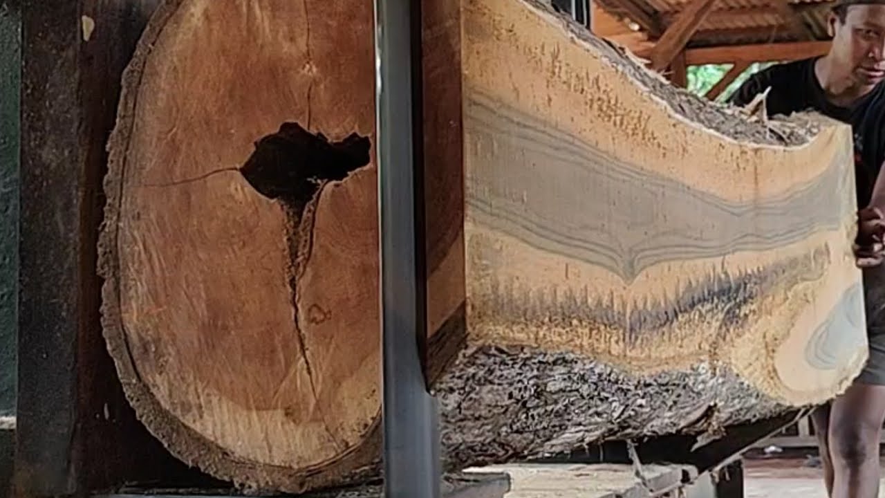 The mystery behind the hollow wood in the sawmill 