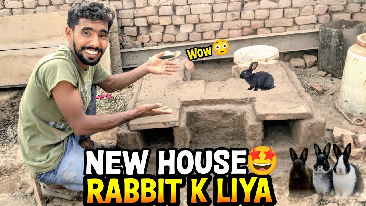 Wao Beautiful Rabbit🐰House Banaya 🤩 How to Make Mud Rabbit House 🏠 