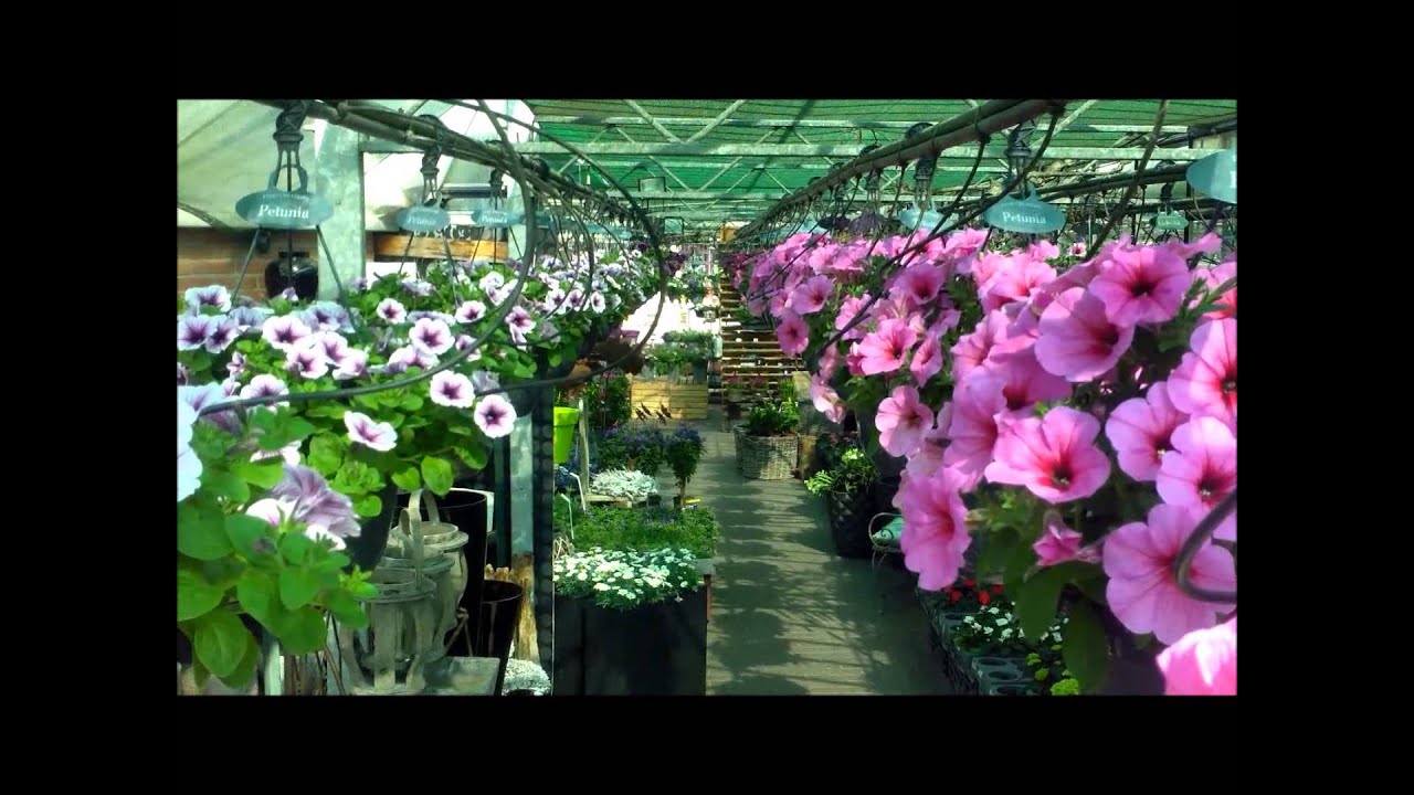 Groot Jebbink zorgt voor bloemenzee
