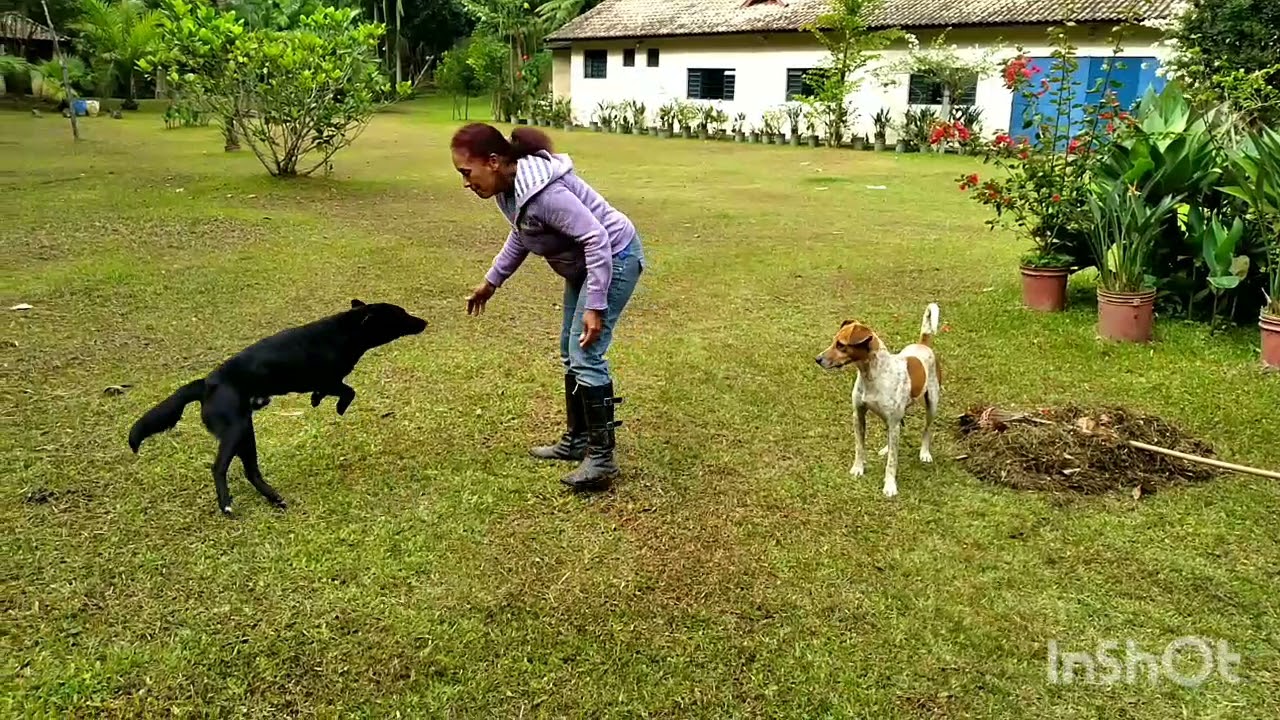 Lety vida na ro&ccedil;a  e natureza. Mulher na lida
