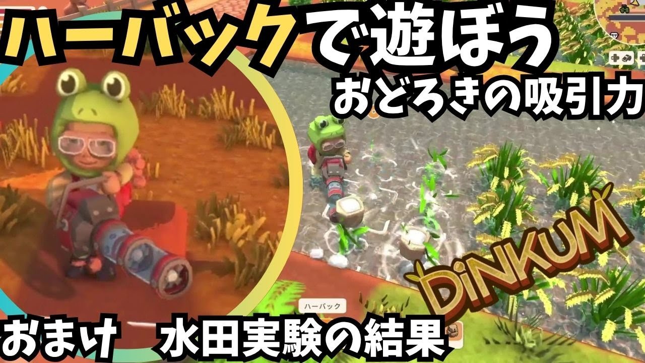 【Dinkum ディンカム】ハーバックで遊んでみた / 便利なバキューム　おまけで水田実験結果　#ディンカム  #dinkum