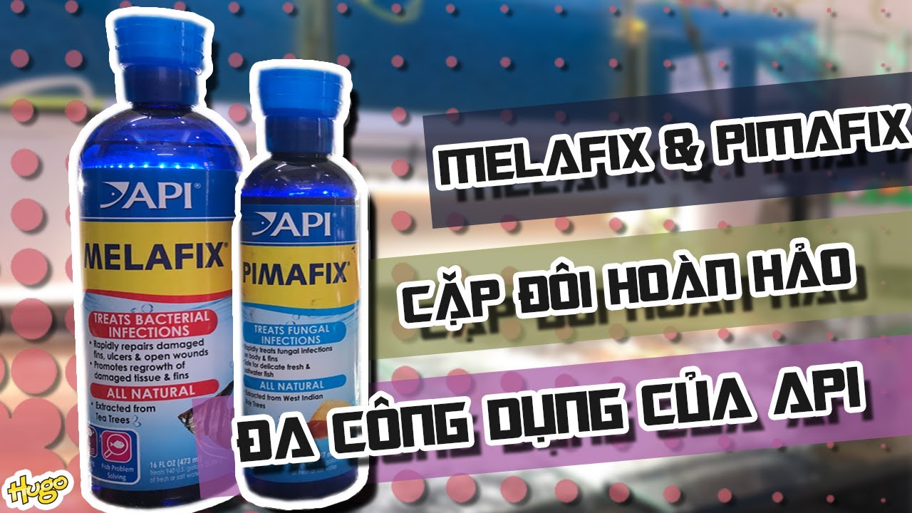 Vlog 023 - Cặp đôi hoàn hảo Pimafix & Melafix đa công dụng | Pimafix and Melafix of API