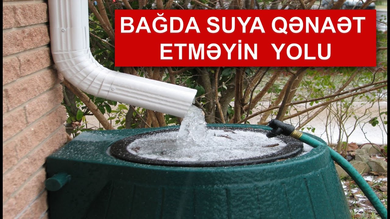 Az sulayacaqsız amma bitkinizin dibi daima nəm qalacaq.Bağda suya qənaət etməyin yolu.