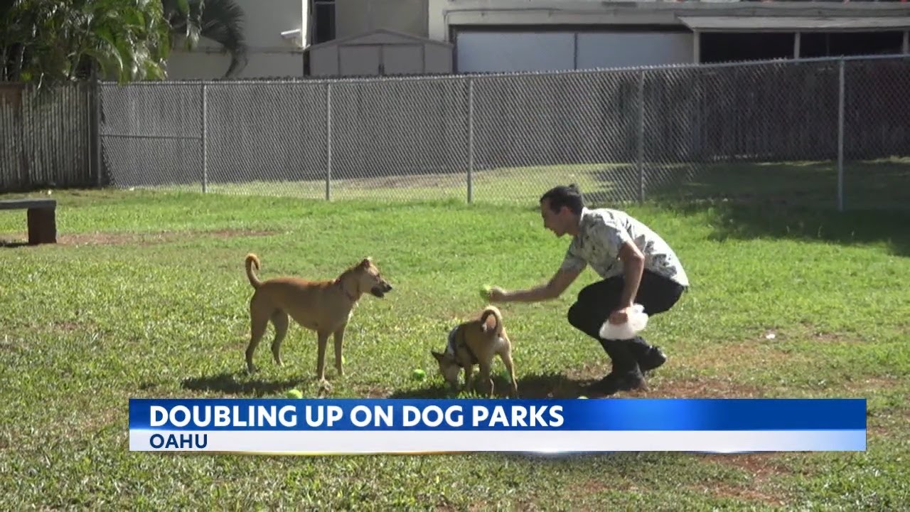 Oahu dog parks increase to 36 with new on-leash parks