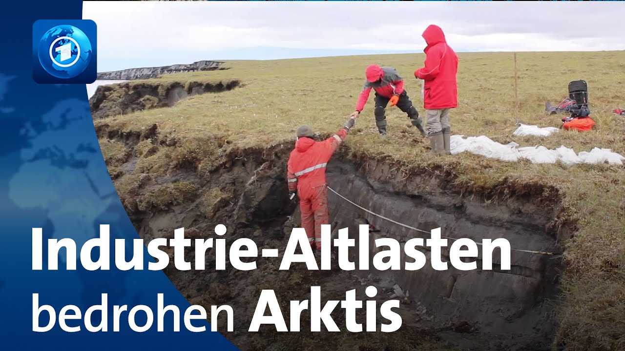Industrie-Altlasten bedrohen Umwelt in der Arktis