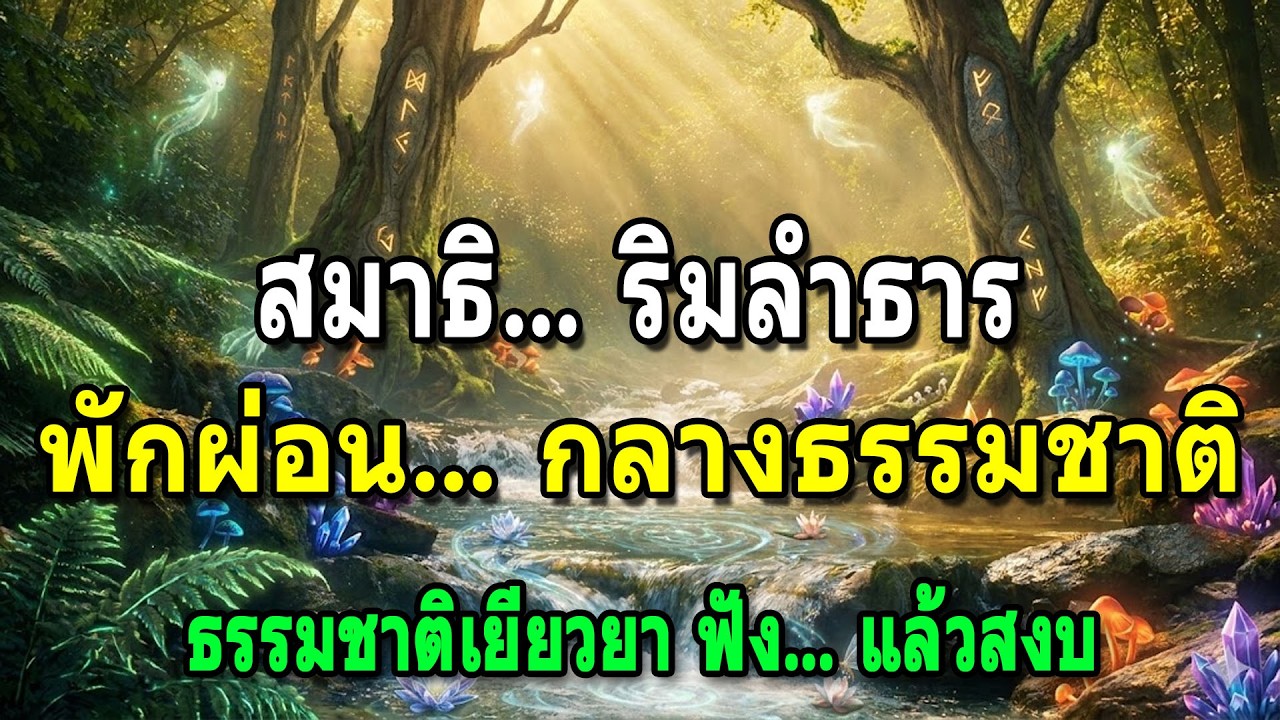 สไตล์นุ่มนวล: ดำดิ่งสู่ความสงบกับเสียงธรรมชาติบำบัด 🌿 ผ่อนคลาย พักผ่อน สมาธิ