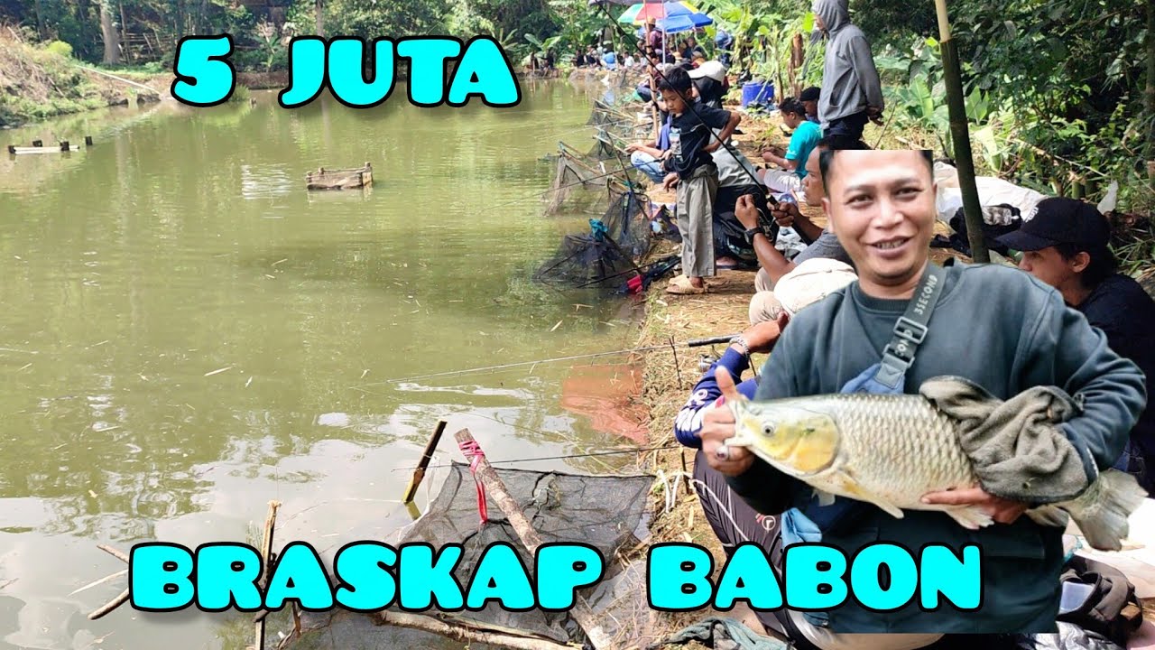 Tiket murah ikan mewah‼️ikan braskap 5 kg up ikan bawal besa-besar, 5 juta 17 peserta