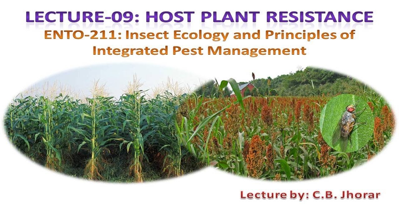 ENTO- 211 : LEC 09   Host Plant Resistance
