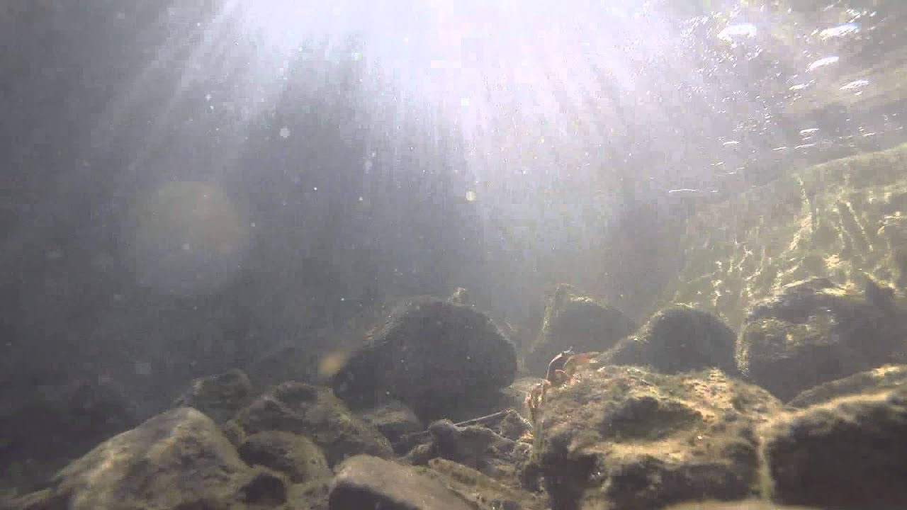 【5回目】GoPro HERO3+ Black Editionを水中に入れた・・・ 60fps