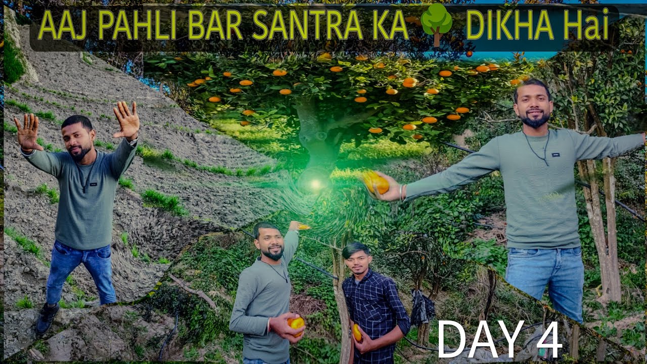 Aaj Pahli Bar पहाड़ी  संतरा Khaya Hoo || Nepql🇳🇵#nepal #volg