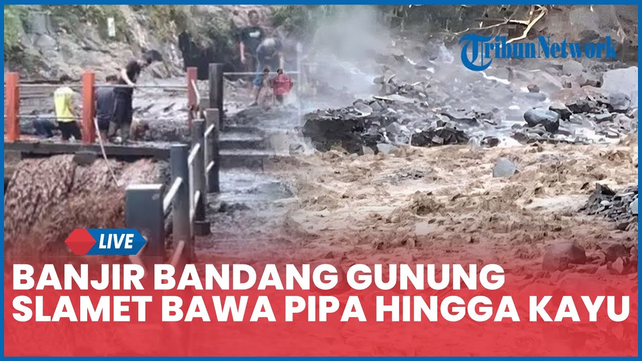 🔴 Banjir Bandang Gunung Slamet Bawa Pipa hingga Kayu Besar: Ratusan Warga Pemalang Ngungsi, 1 Tewas