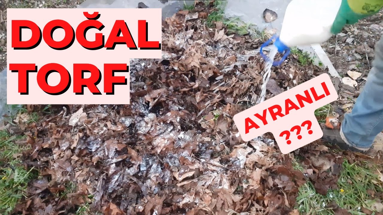 ''Ayranlı'' TORF Nasıl Yapılır ? ''el yapımı''
