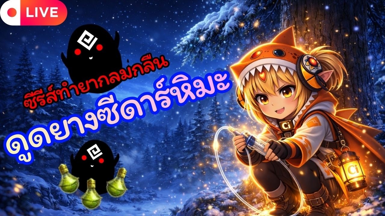 ดูดยางซีดาร์หิมะ ! กว่าจะมาเป็นอีลิกเซอร์แห่งการทำลายล้าง ความลับใต้ต้นยาง  | BlackDesert 🛑 LIVE 411