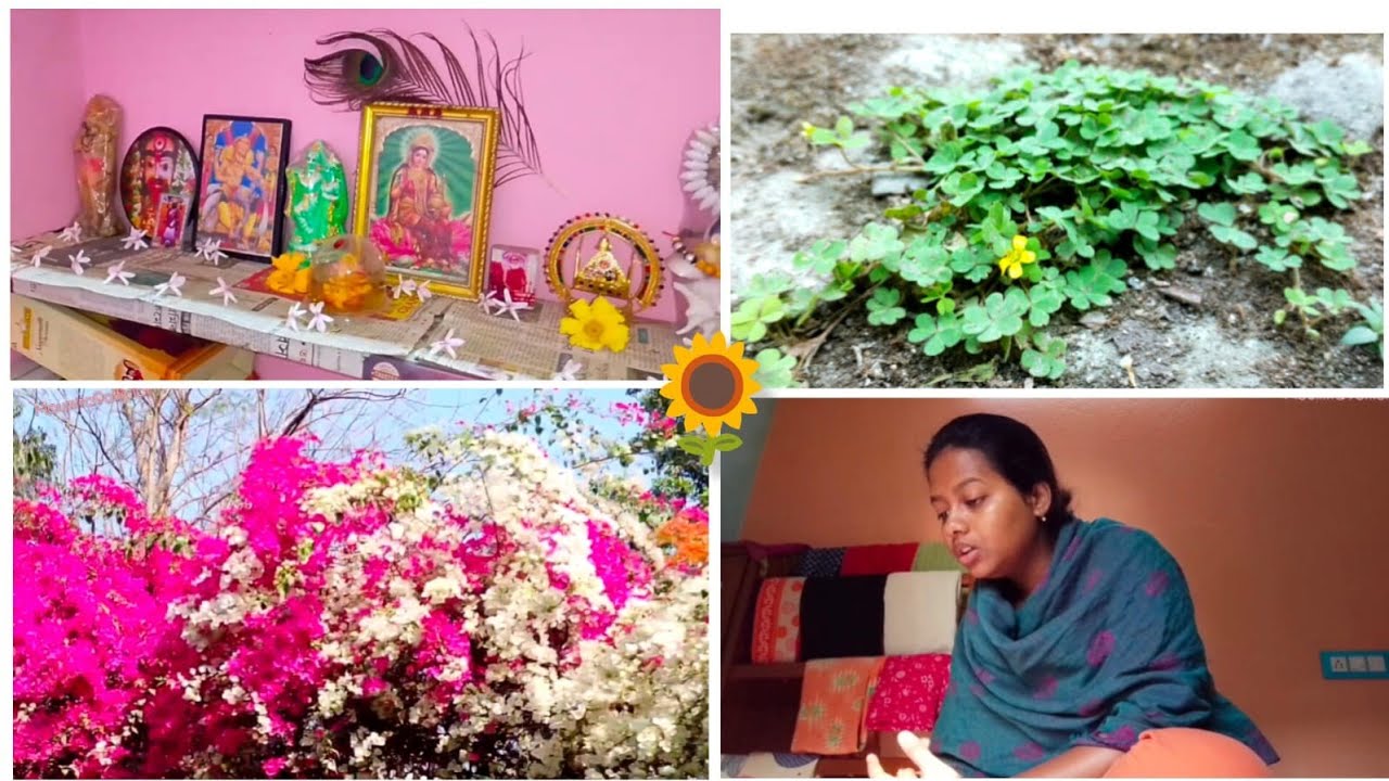 নিজের হাতে রান্না করে খাওয়াতে ভালো লাগে / মন থেকে চাইলে সন হয় / Be positive/ Bengali Daily vlog 2026