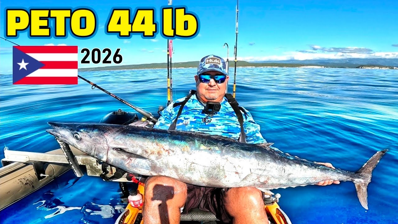 PESCA DE PETO de 44 LB en Guayanilla PR - Pescando en Puerto Rico a Kayak (wahoo)