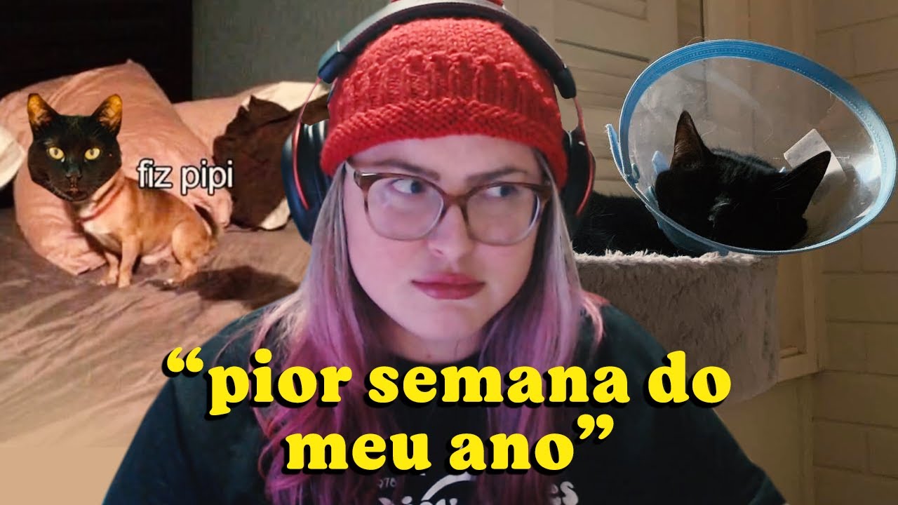 UMA SEMANA CAÓTICA: TUDO QUE ACONTECEU COM MEU GATO DJANGO | Cortes da Bel