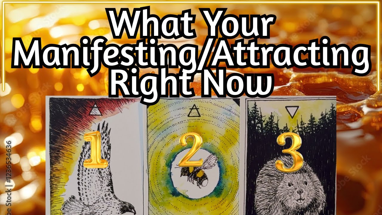 What Your Manifesting/Attracting Right Now 🍯Pick A Card🍯