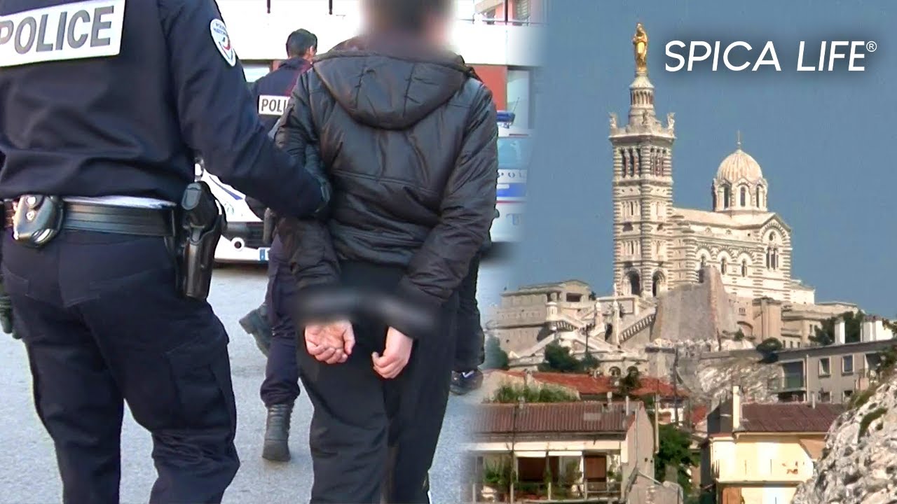 Deals, règlements de comptes : Marseille au cœur de la jungle urbaine