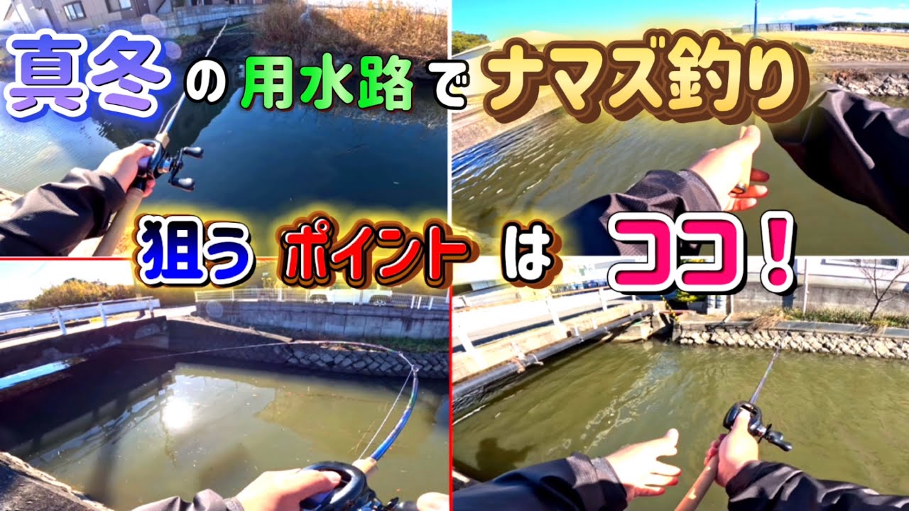 【冬の用水路】真冬のナマズ！トップで仕留める為の先の一手とは？