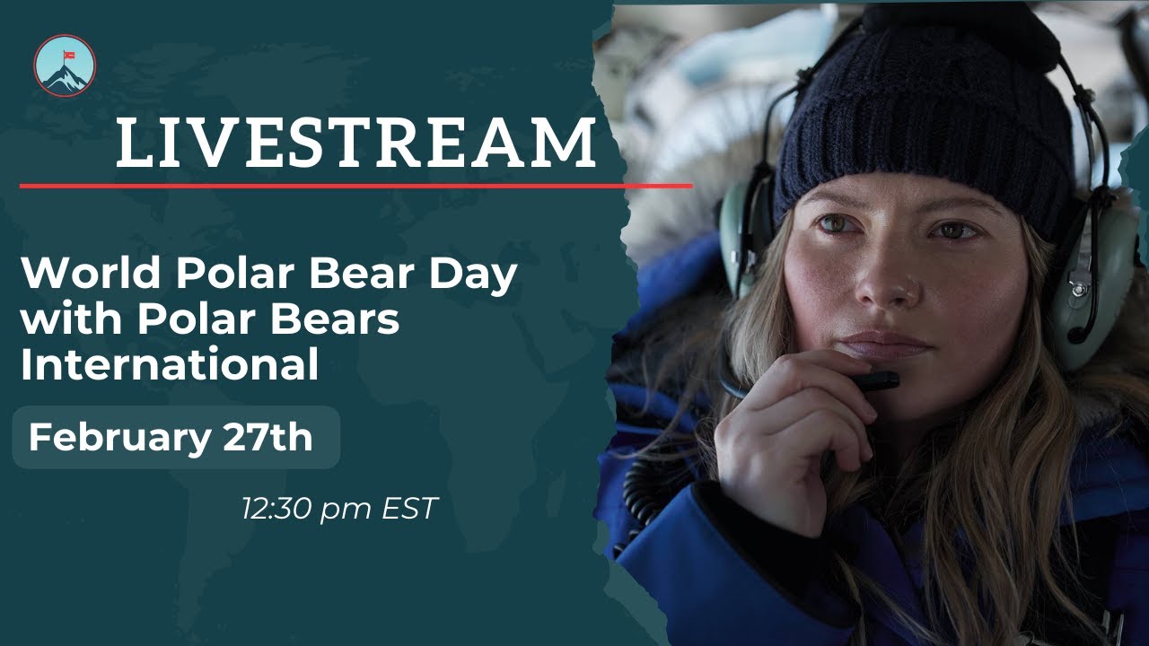 World Polar Bear Day with Polar Bears International