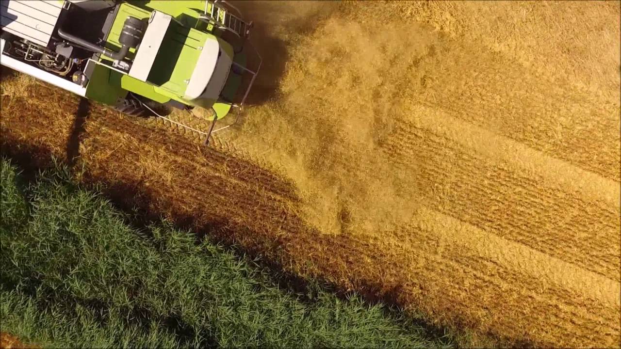 Getreide Ernte 2016 in Butjadingen