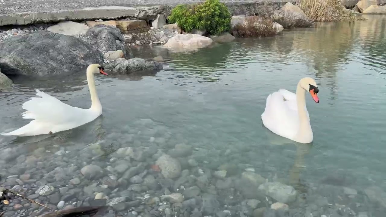 17 лютого 2026 р.