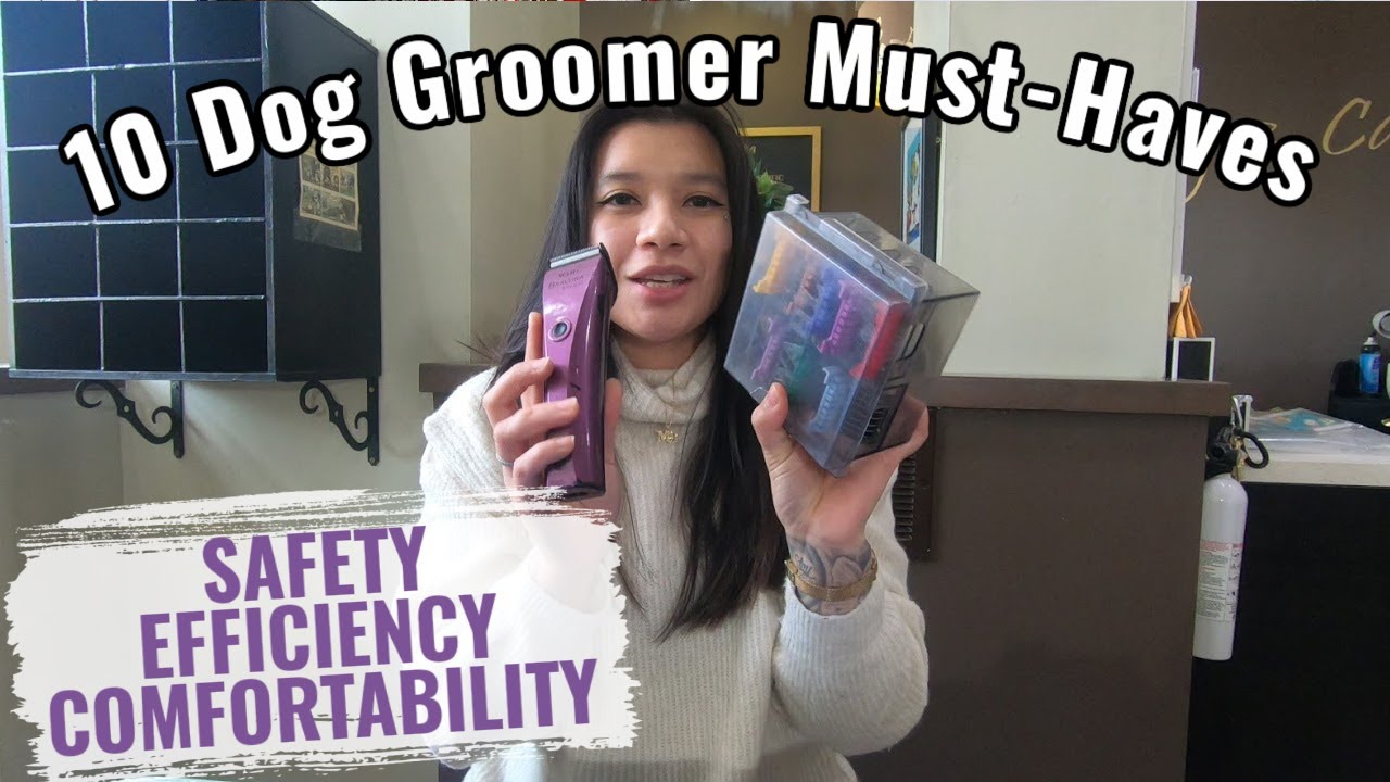 10 Dog Grooming Must-Haves