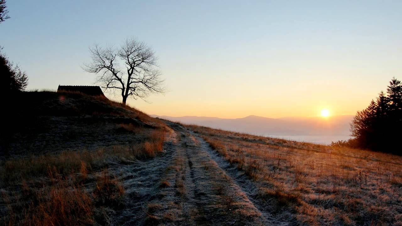 Schubert - Symphony No 5 in B-flat major, D 485 - Celibidache